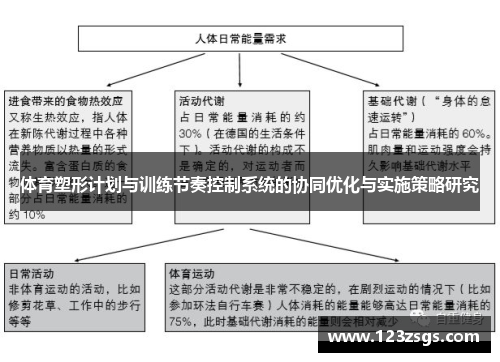 体育塑形计划与训练节奏控制系统的协同优化与实施策略研究