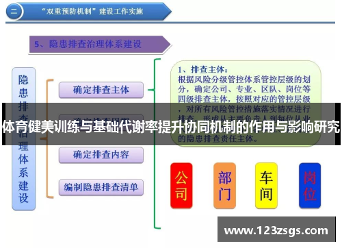 体育健美训练与基础代谢率提升协同机制的作用与影响研究